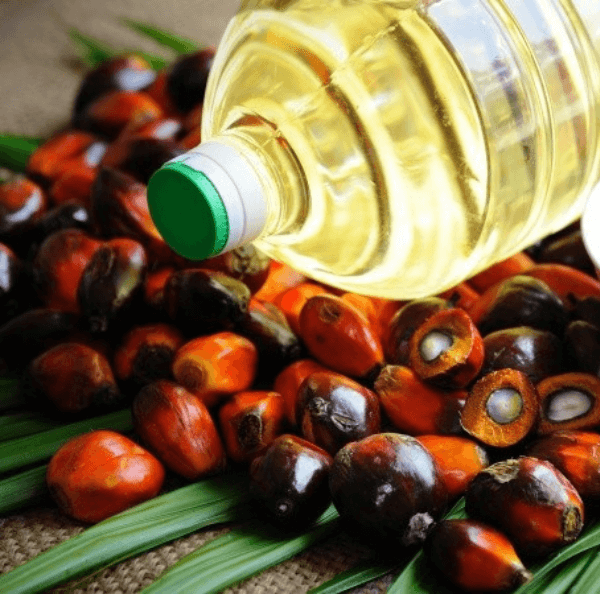 Palm-Oil-5.png