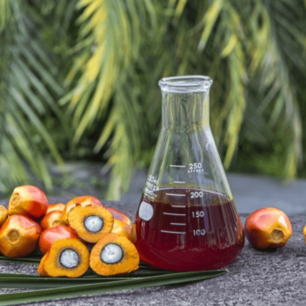 Palm-Oil-7.png